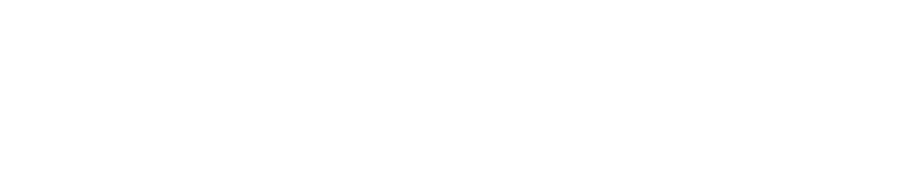 Fitch Group Logo